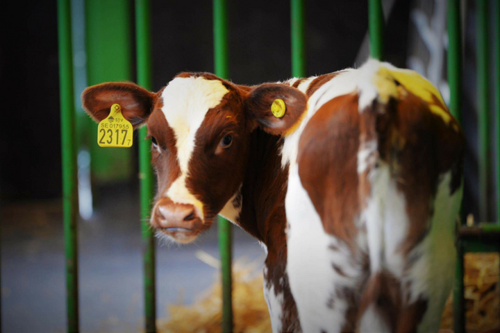 J&ouml;rgen Blakstad