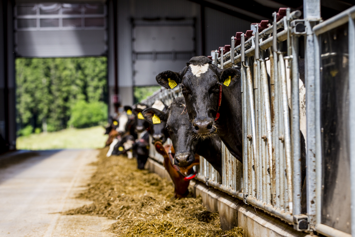 Utsikt fr&aring;n S&auml;lboda g&aring;rd